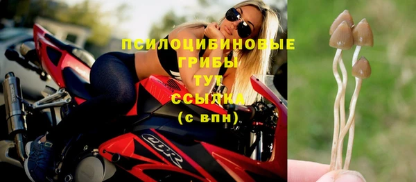 хмурый Михайловка