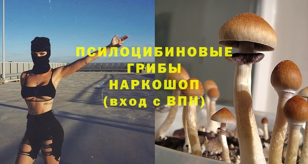 синтетический гашиш Медвежьегорск