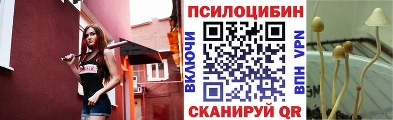 купить наркотик  Киров  Псилоцибиновые грибы прущие грибы 