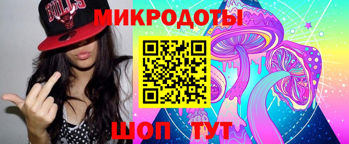 Псилоцибиновые грибы Psilocybe Киров